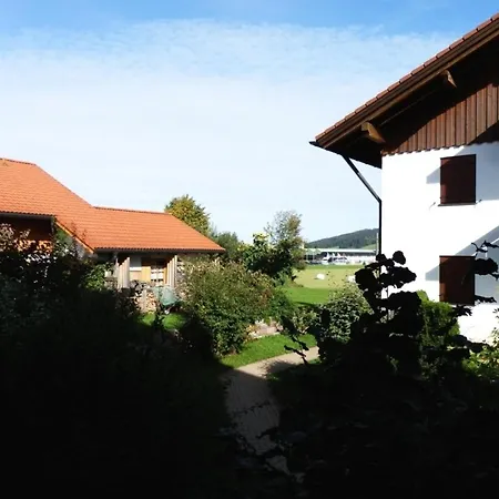 Vogel