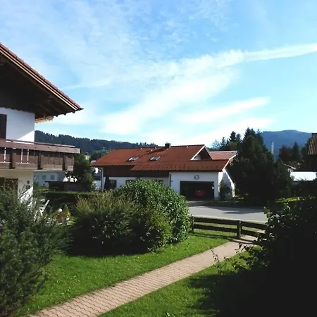 Vogel *