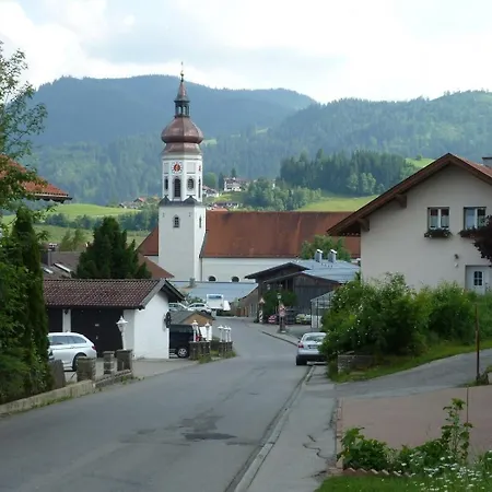 Vogel * Wertach
