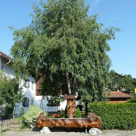 Vogel Wertach