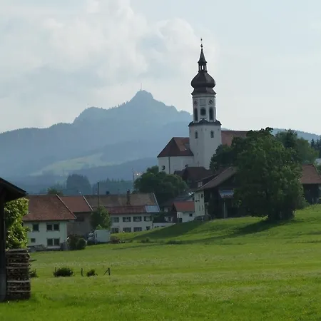 Vogel * Wertach