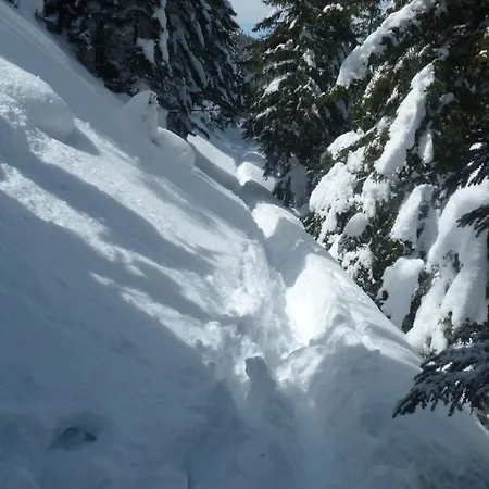 아파트 Vogel 베르타크