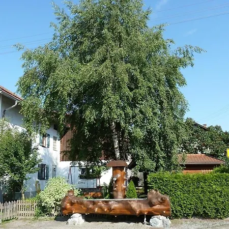 Apartment Vogel *