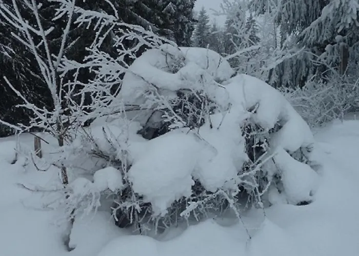 アパート Vogel ヴェルタハ