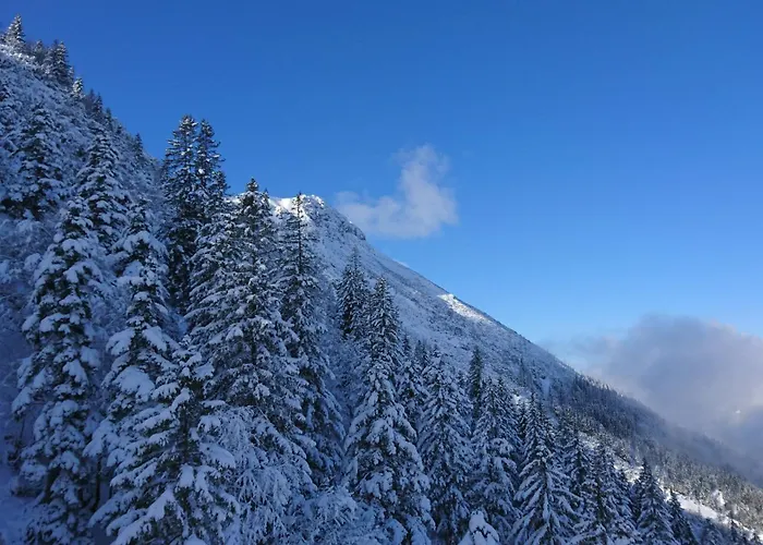 アパート Vogel *