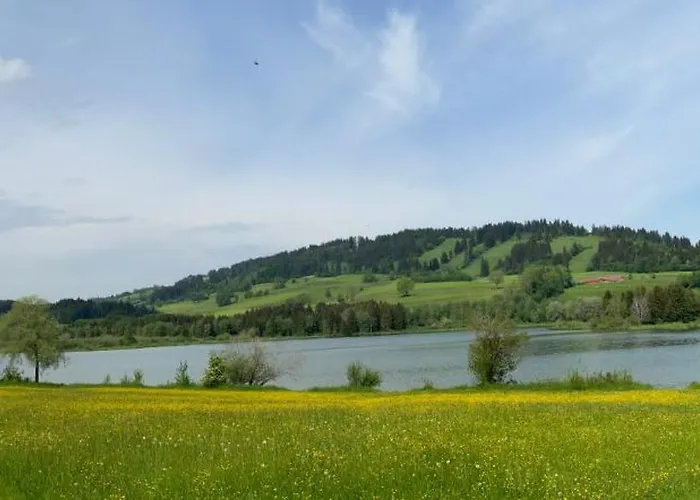Vogel *