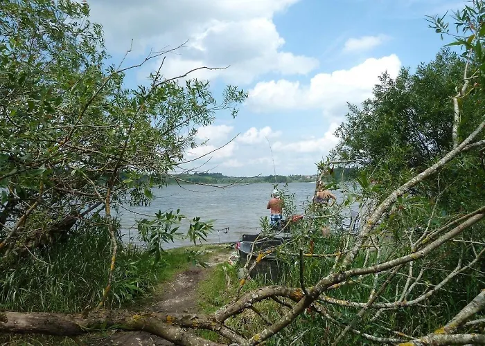 Vogel