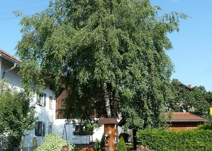 Appartement Vogel *